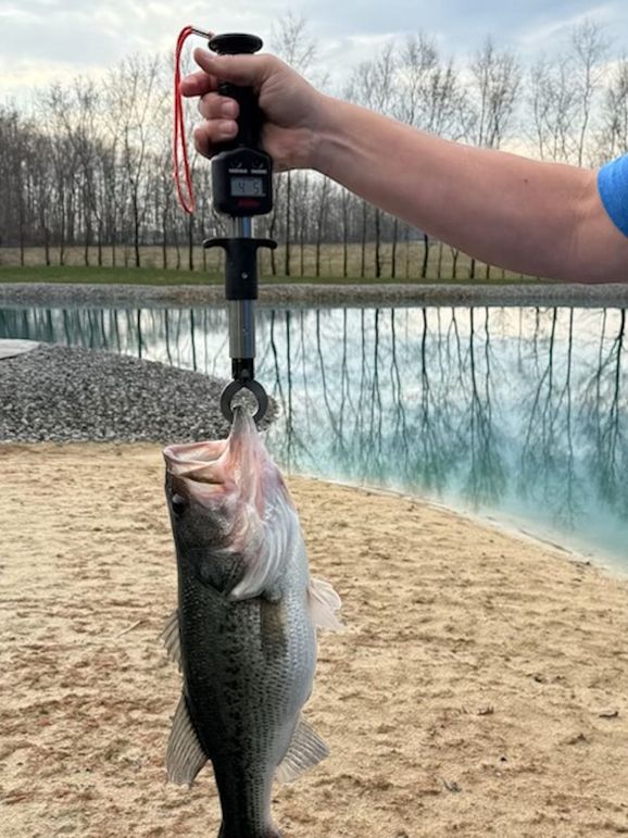 Great 4.5lb  bass