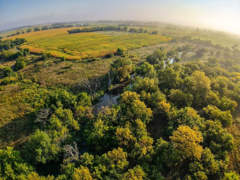 DJI_20250906081651_0079_D