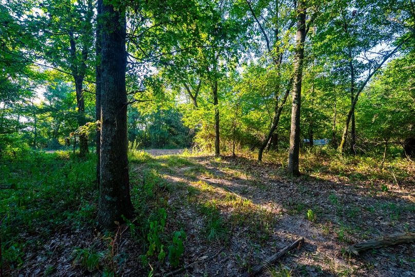 Copy of DSC06270 Large