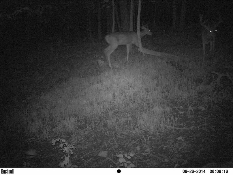 EFC0A01F-EAF4-4303-9E34-6F6DF1473D31