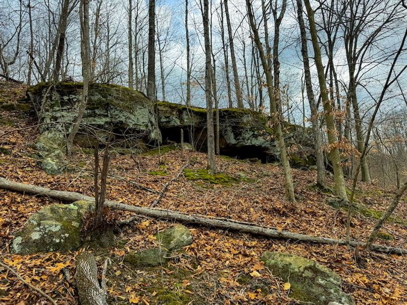 Doddridge, WV 79.08 AC Adams-79