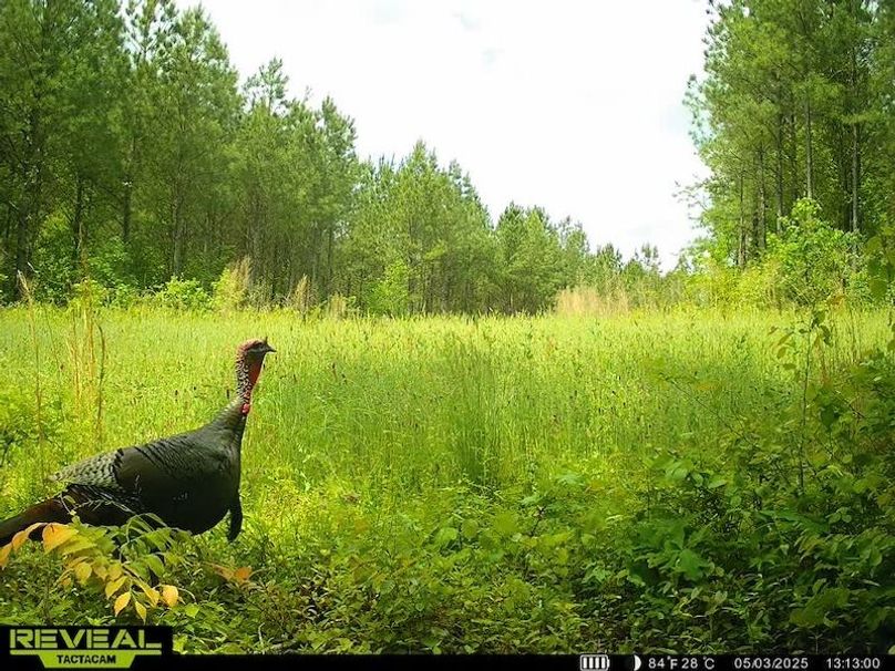 864049054772076-80-3-05032025131322-V-W1000683