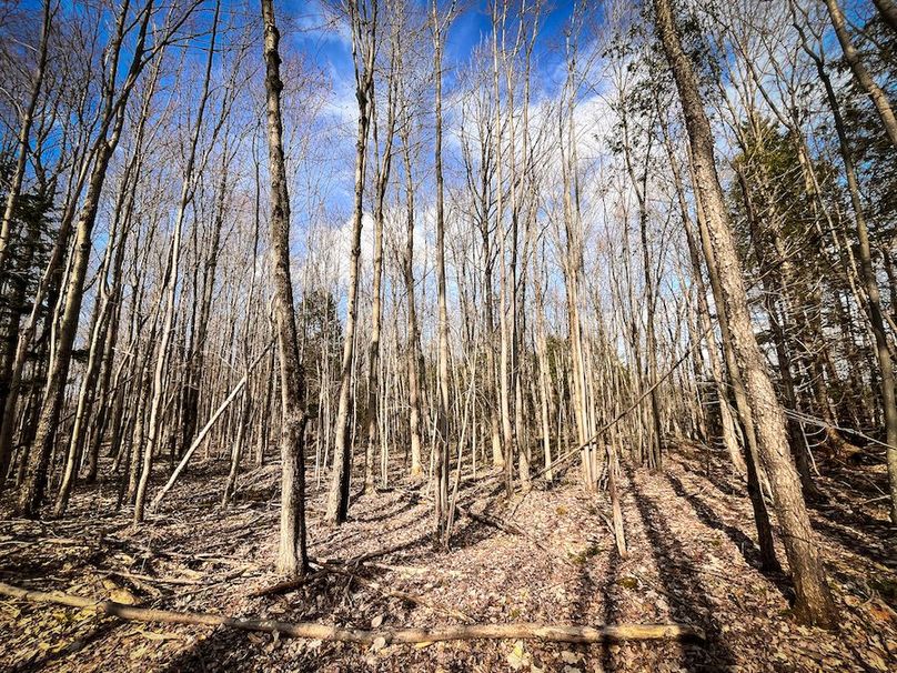 StLawrence_142.7_Bosse_Photos_46