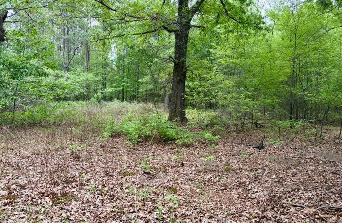 1BC7DDC1-CF6A-4B6C-BB56-26A4B7AB8D89_1_105_c