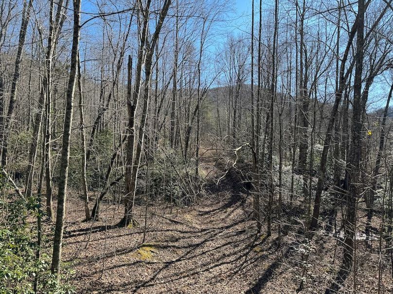 Cherokee 118.85 Harris Top-22