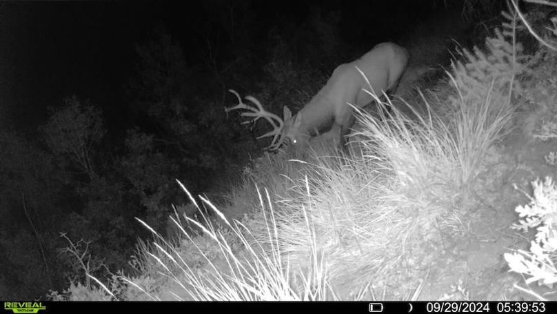 016578000756376-23-3-09292024053953-SYFW00200