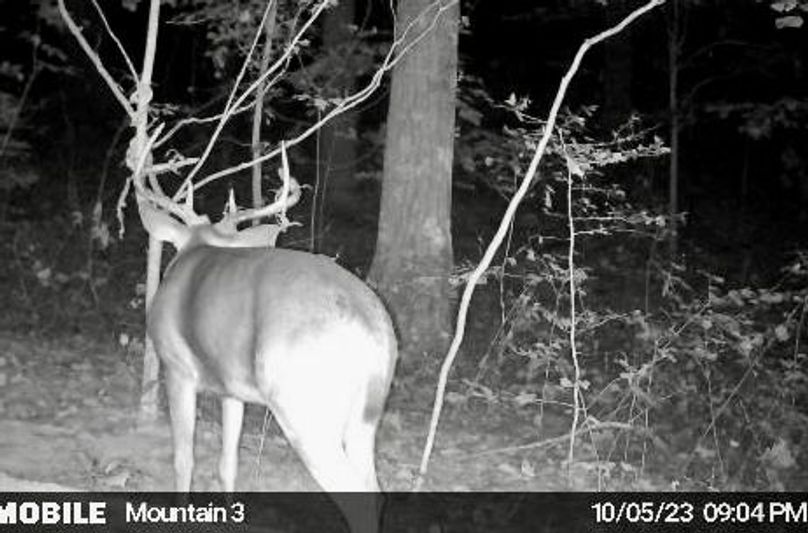 image638338633163302534