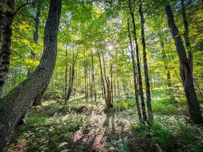 Jefferson_53.29_Johnson_Photos_38