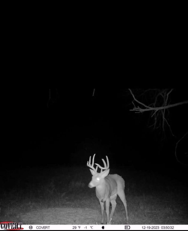 Screenshot_20231219_055019_CovertWireless