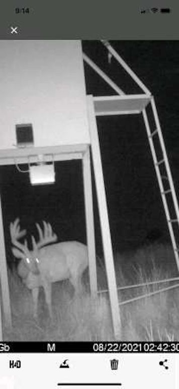 pulse-image-1658112837479