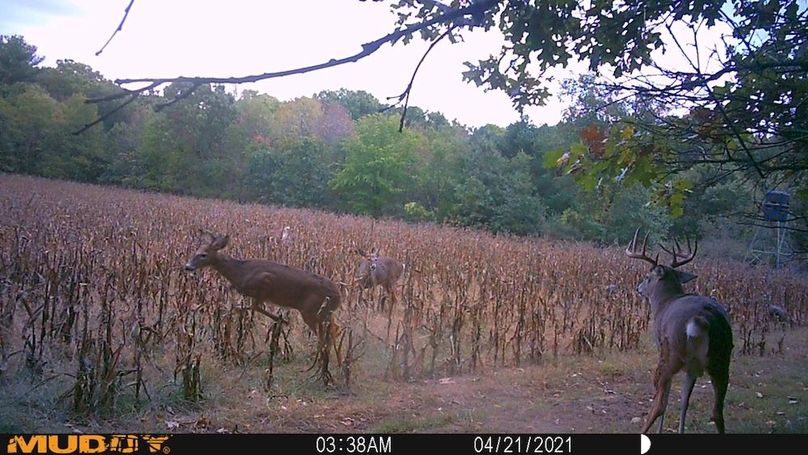Sauk 174 Trailcam - 56