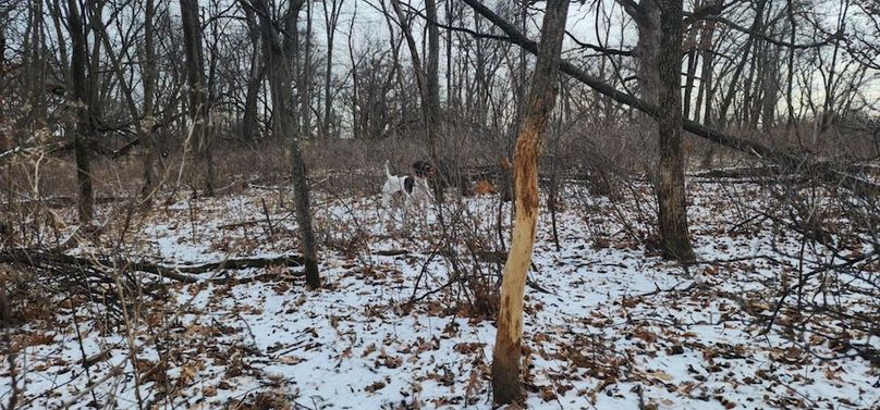 09644623-14c6-47fb-bbc8-a0a00687d45f