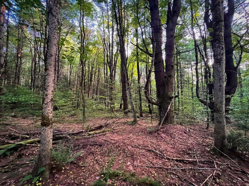 Oswego_30_RouselandInvestments_LLC_Photos_25