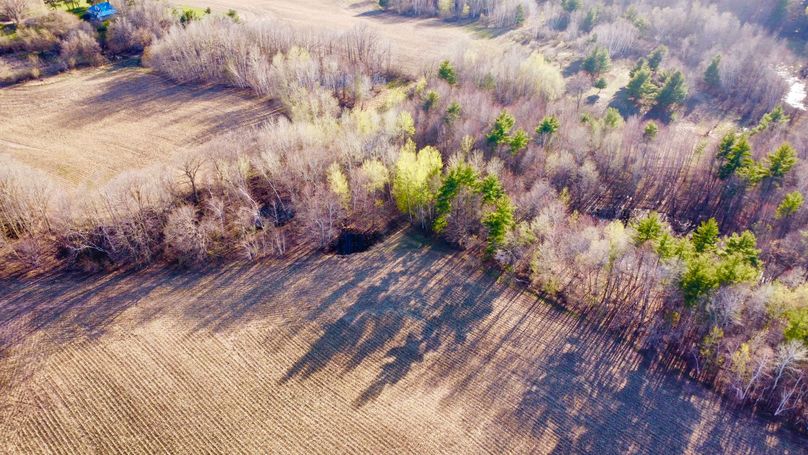 dji_fly_20230504_181834_702_1683242330276_photo_optimized