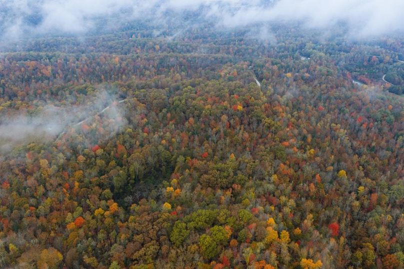 010 aerial drone view from the south boundary in the fall-2