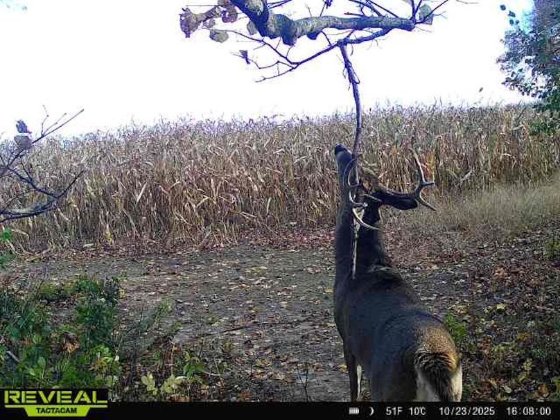 865814043293958-100-3-10232025160800-W1002361