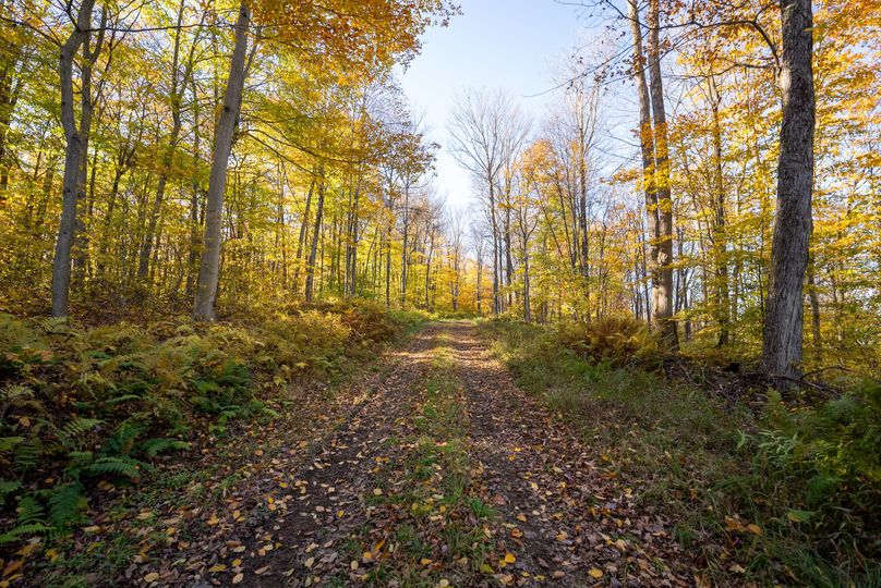 Elk PA 7000 Feature_Pro Photo-132