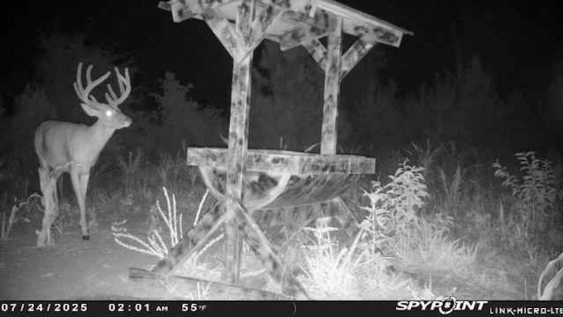 trail cam 3