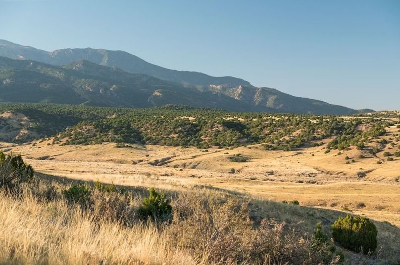 06 - Greenhorn Mountain Wilderness Area