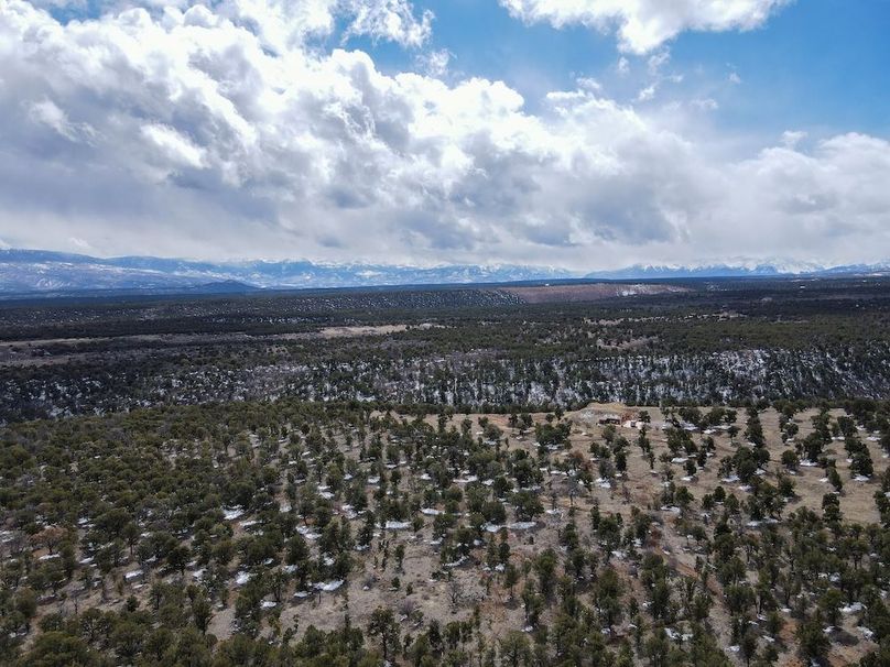 DJI_0931