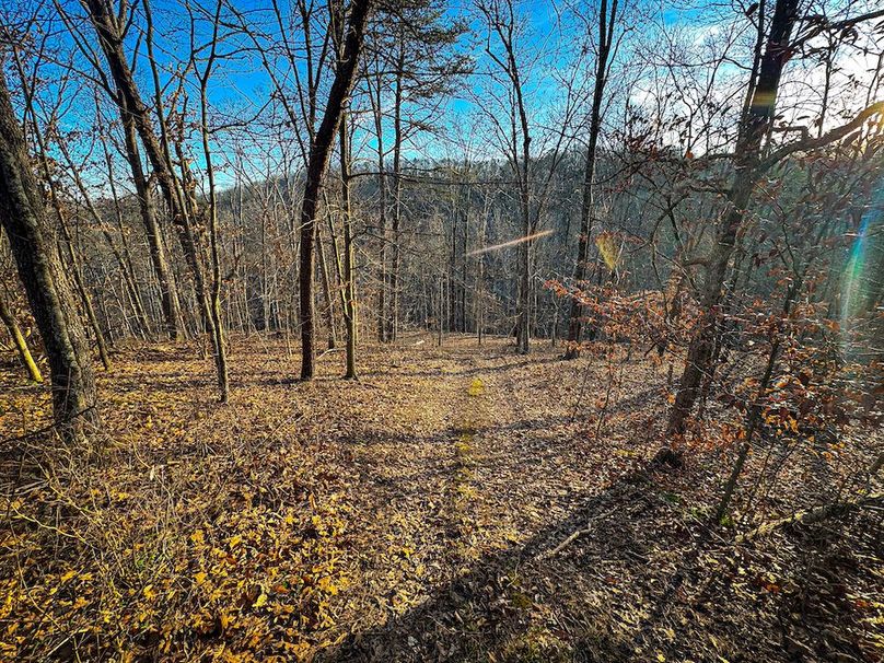 Jackson, WV 118.94 AC Shafer-083