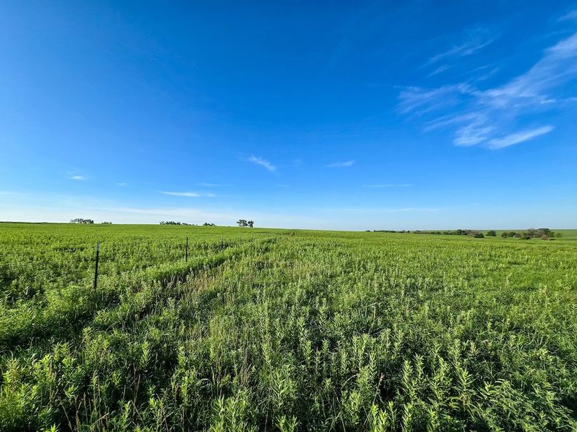 Copy of 20250625_073132