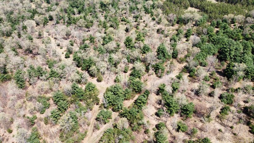 dji_fly_20230511_113606_433_1683838328112_photo_optimized