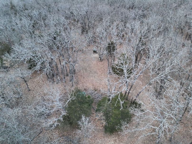 DJI_20260124001636_0020_V