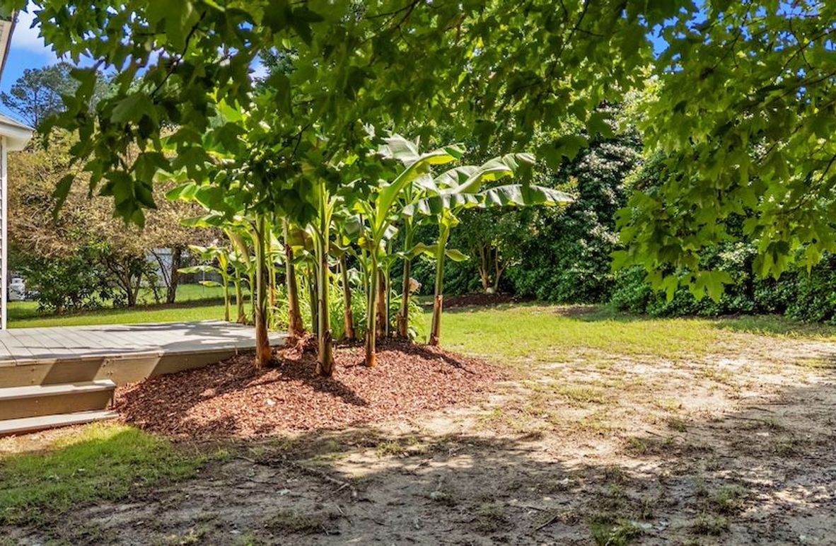 5-web-or-mls-DJI_20250514111323_0115_D