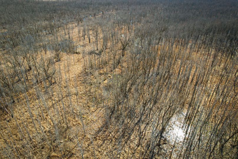 Oswego_165.52_Lashomb_Photos_18