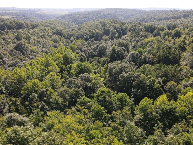 dji_fly_20240808_095030_293_1723128648891_photo