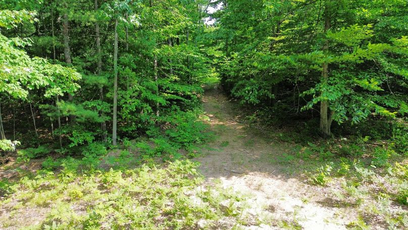 dji_fly_20230809_154840_193_1691610570105_photo_optimized