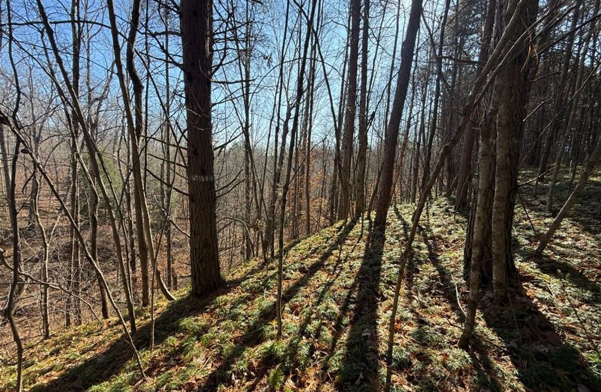 002 view along the edge of the flat building sites looking off into the ravine