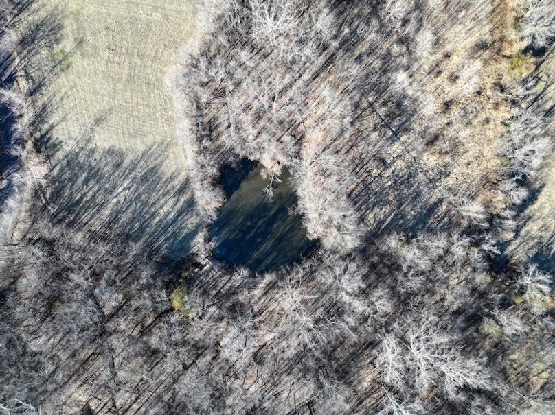 DJI_20240214154426_0025_D