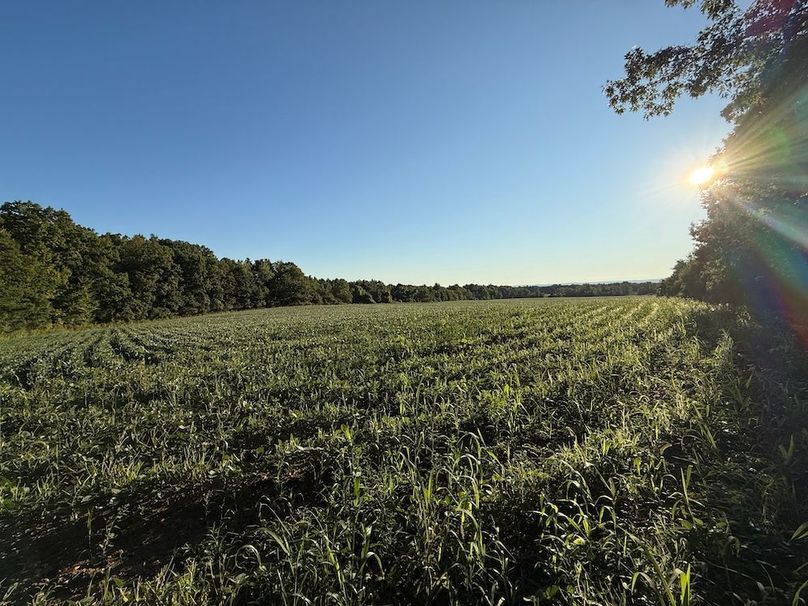 Copy of Wood Main Listing Photo 16