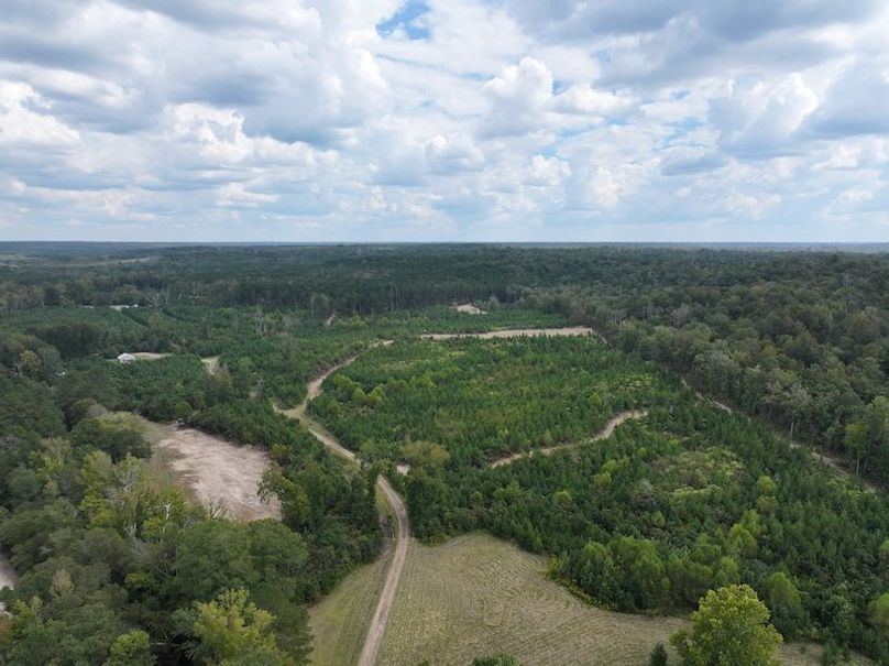 dji_fly_20251001_133008_0587_1759492700450_photo