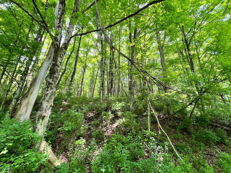 Tioga_78_Biada_Photos_31