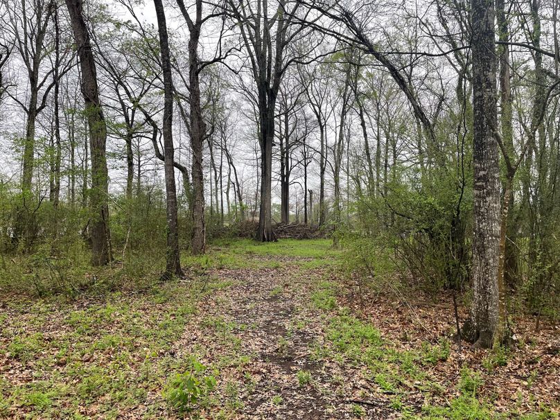 409AAC97-7C7A-421C-B8FD-DDCA4AAAA391