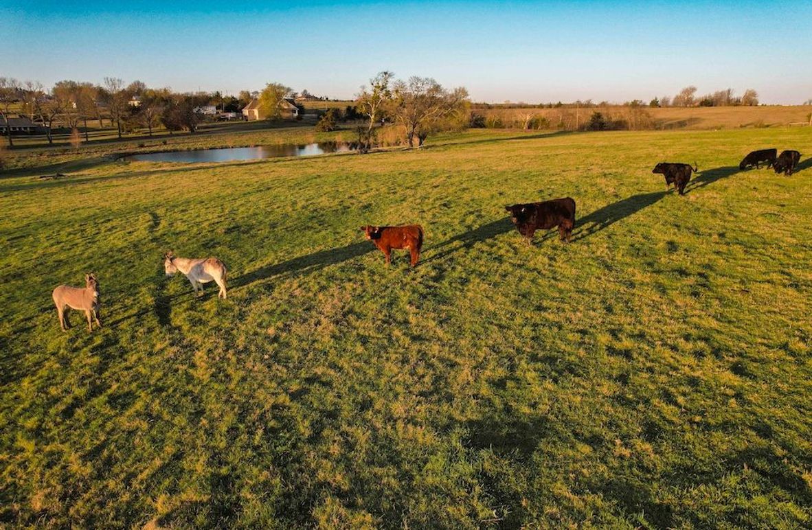 Grayson 20 acres (23 of 26)