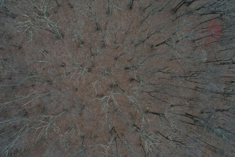 013 low elevation drone shot of the forested area near the south boundary