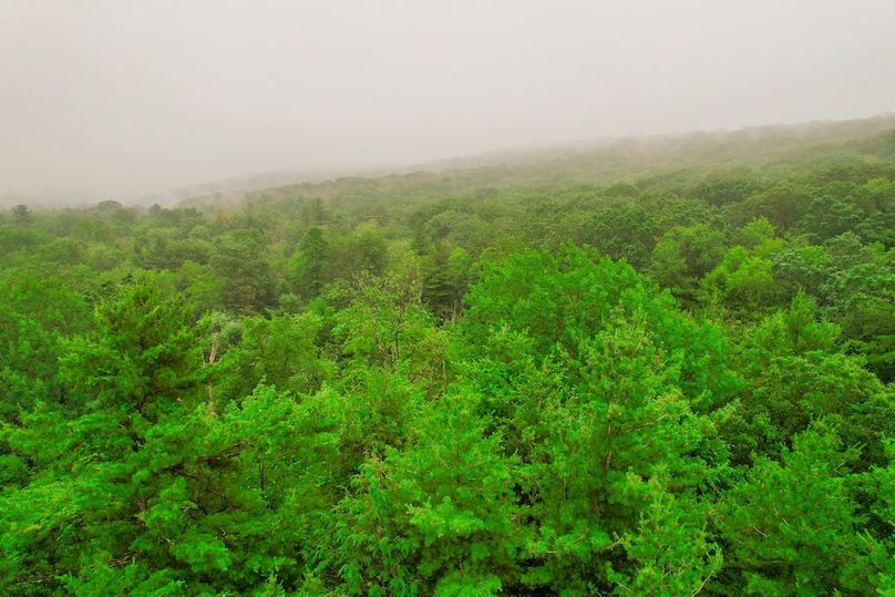 dji_fly_20250627_105304_30_1751036262131_photo