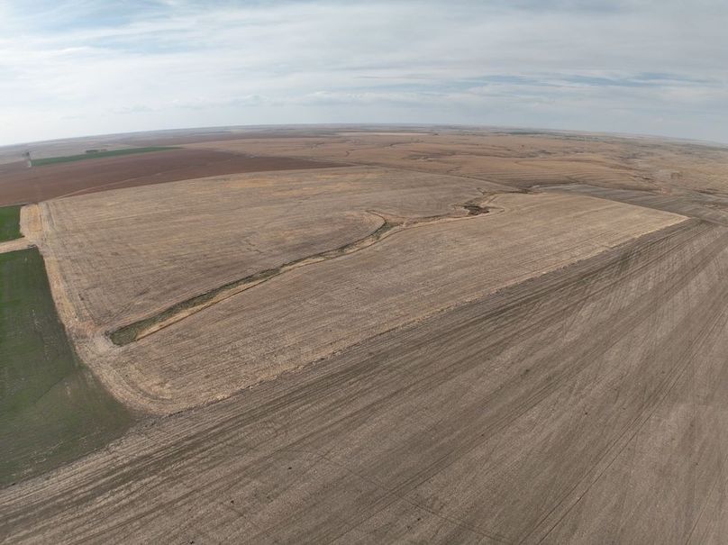 DJI_0381