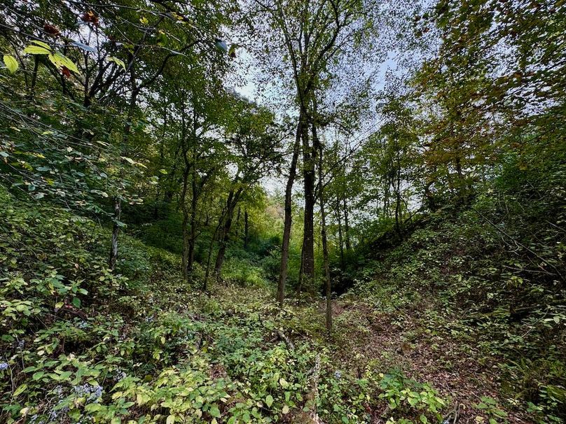 Richland 199Ground - 65