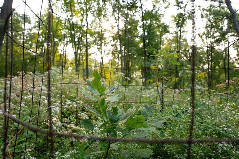 Cedar IA 152 Featured-Z79