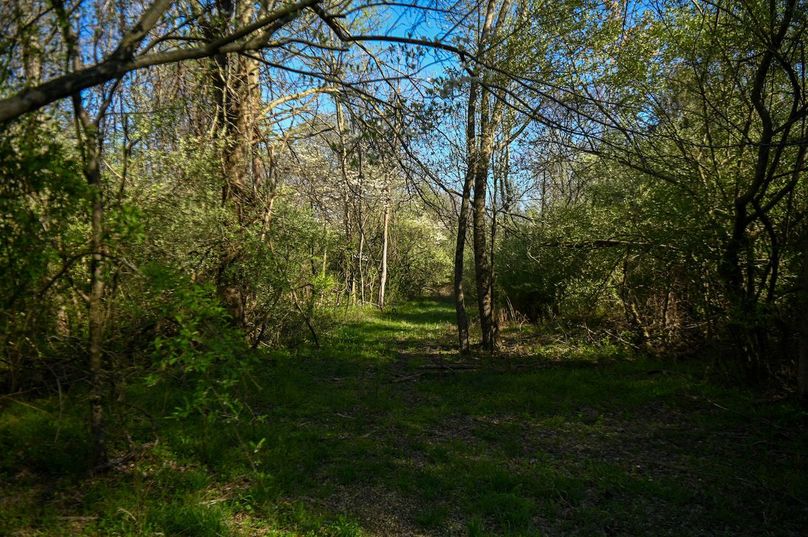 vandalia 450 (2)-2476