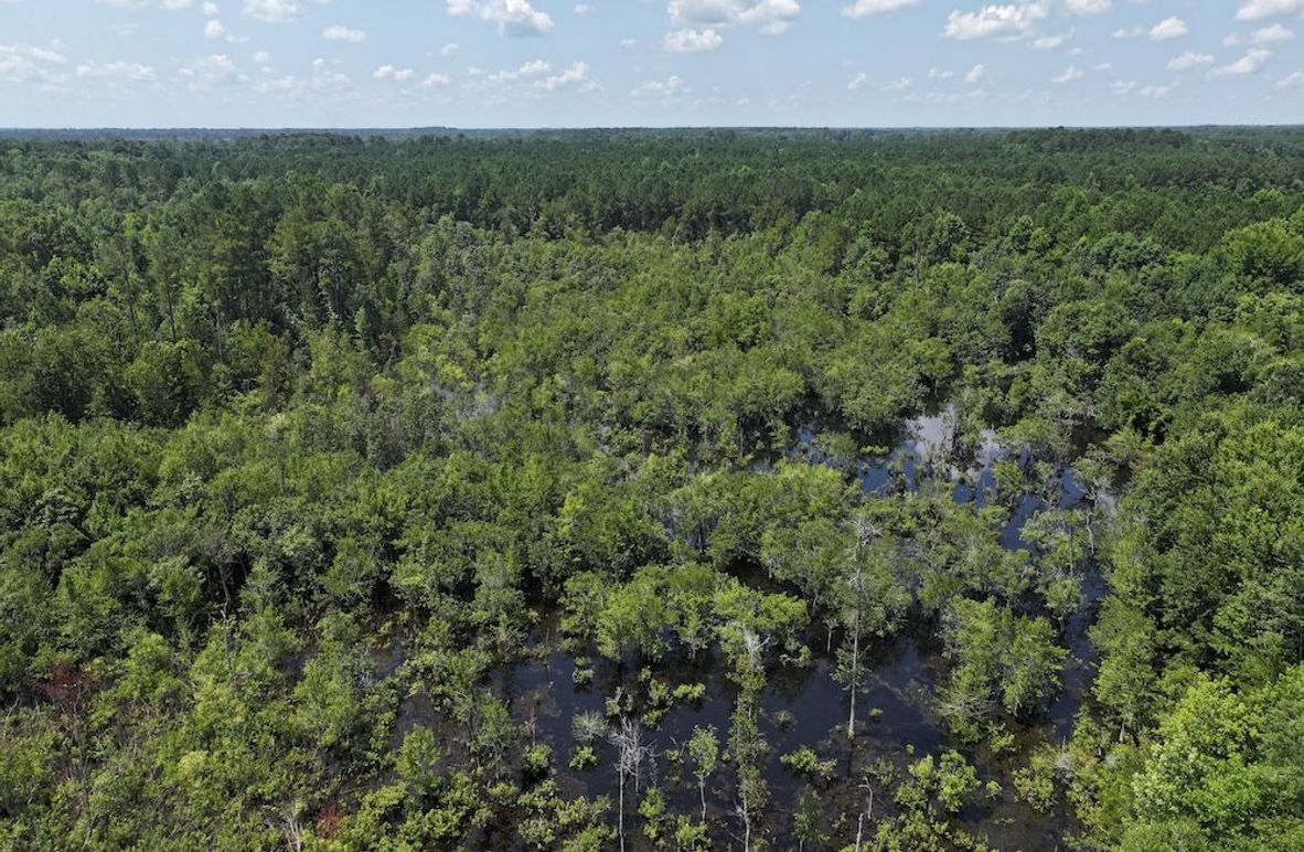 DJI_20250627111150_0135_D