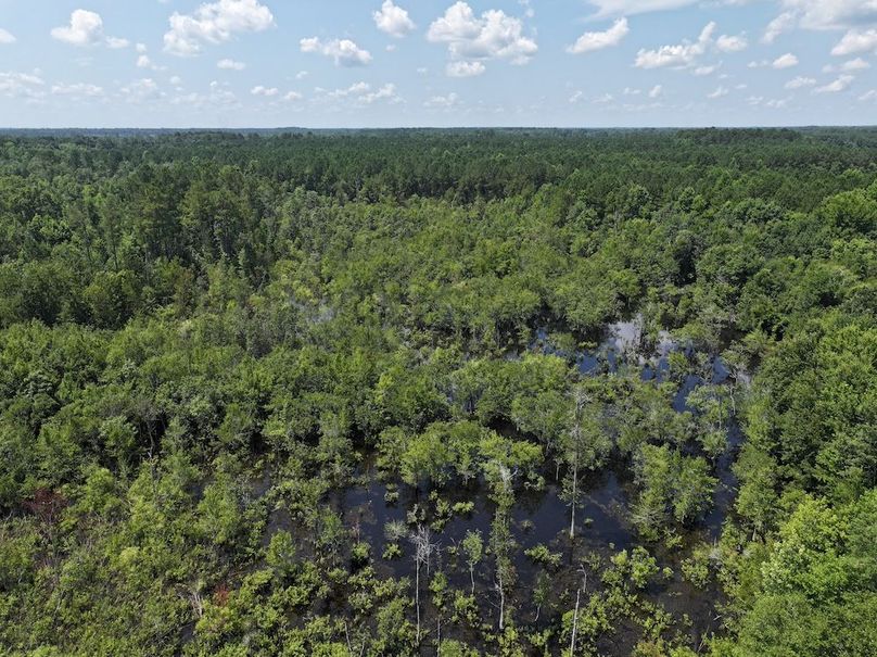 DJI_20250627111150_0135_D