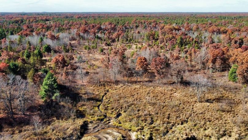 dji_fly_20241024_130916_503_1730406235161_photo_optimized