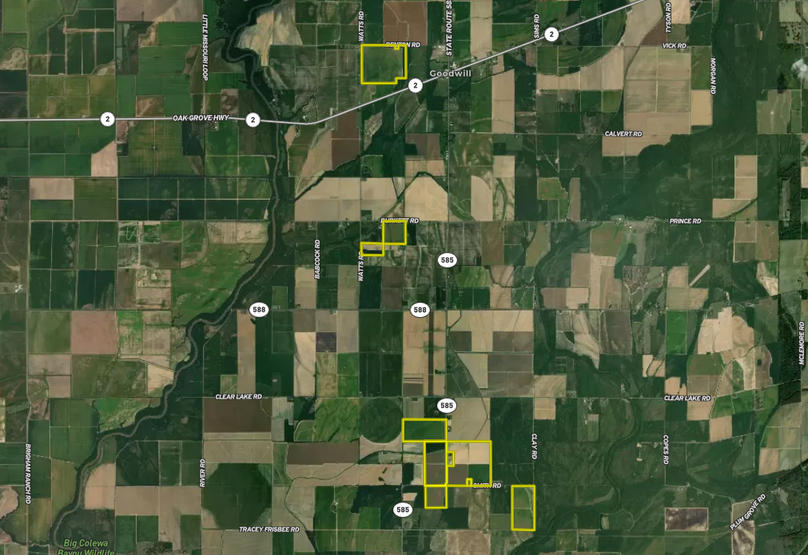 Screenshot 2026-03-03 at 12.57.06 PM