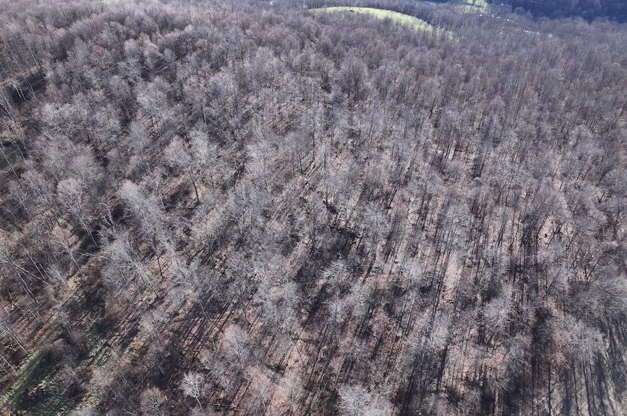 DJI_20241127033451_0738_D